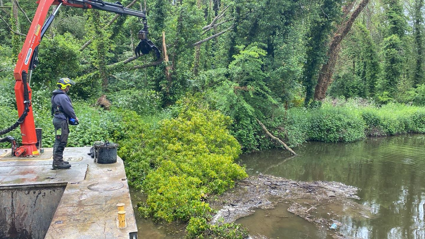 1 Oak Weir Tree Clearance