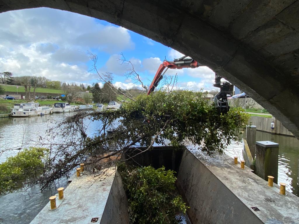 6 of 2022 Fallen tree At East Farleigh