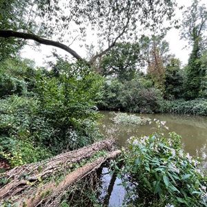 17 Of 2023 Obstruction In River