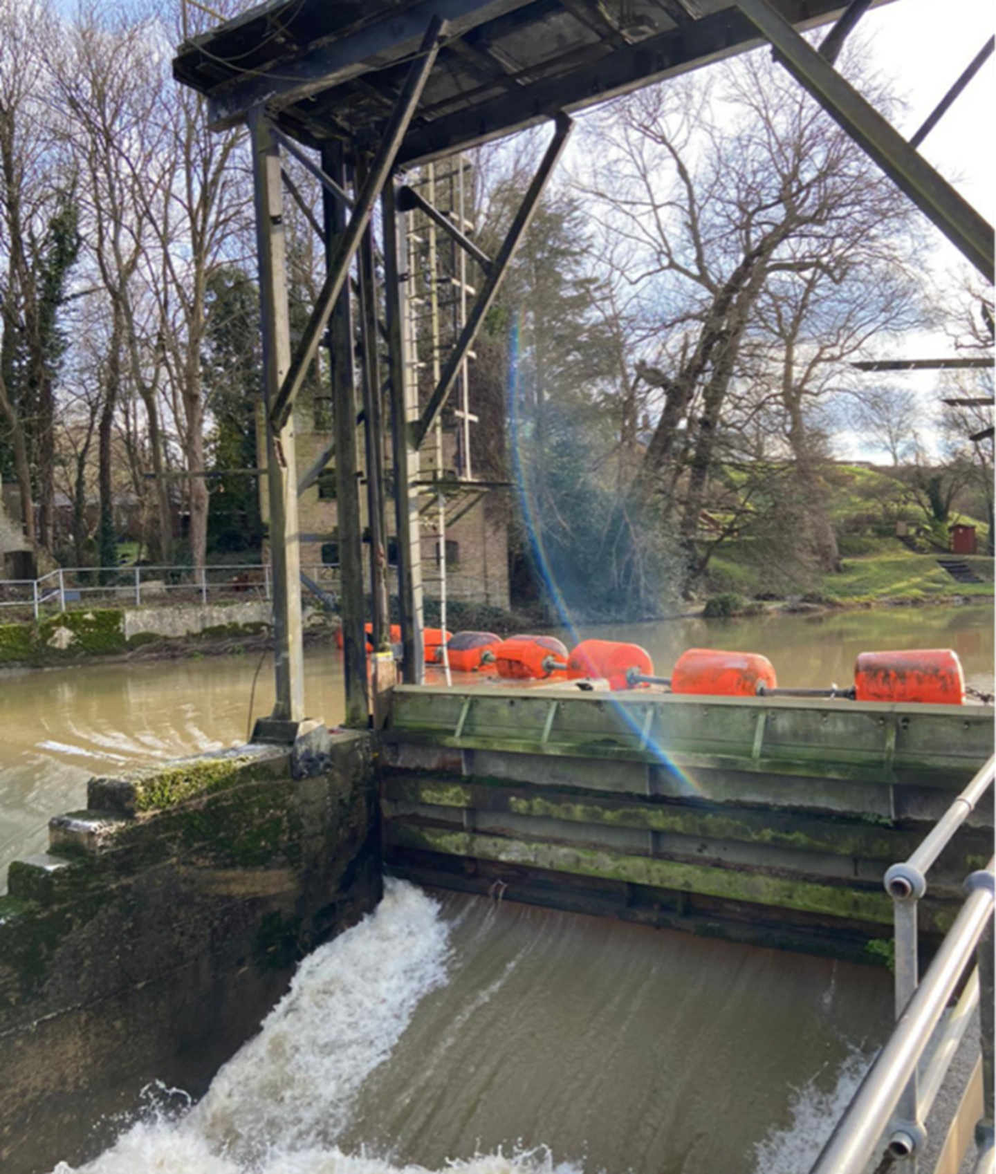 Teston1