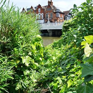 Tonbridgetownbridge