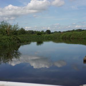 Waterscene
